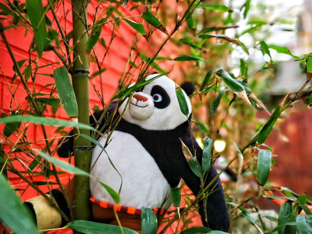 Twin Panda Guesthouse Seul Dış mekan fotoğraf