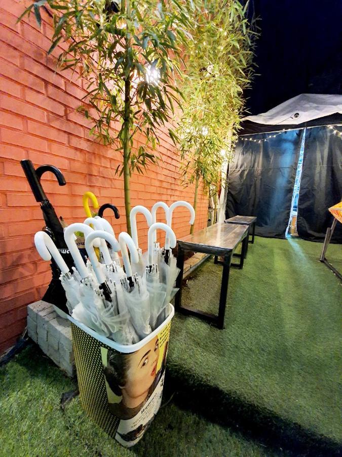 Twin Panda Guesthouse Seul Dış mekan fotoğraf